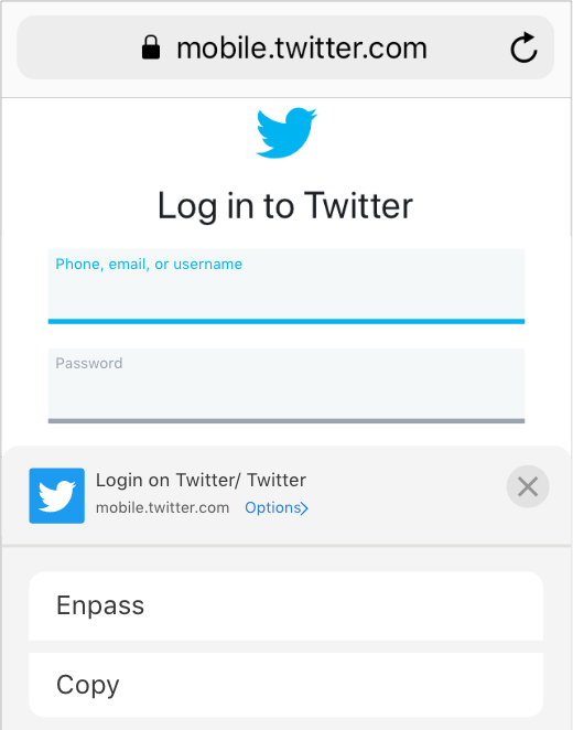 enpass browser extension